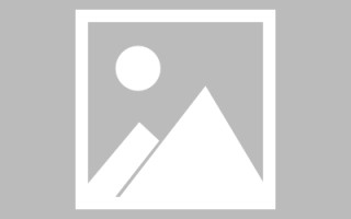 泰安龙江乐从网站建设（乐从和龙江）